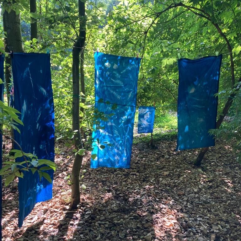 cyanotypes-fabric-B-Collé