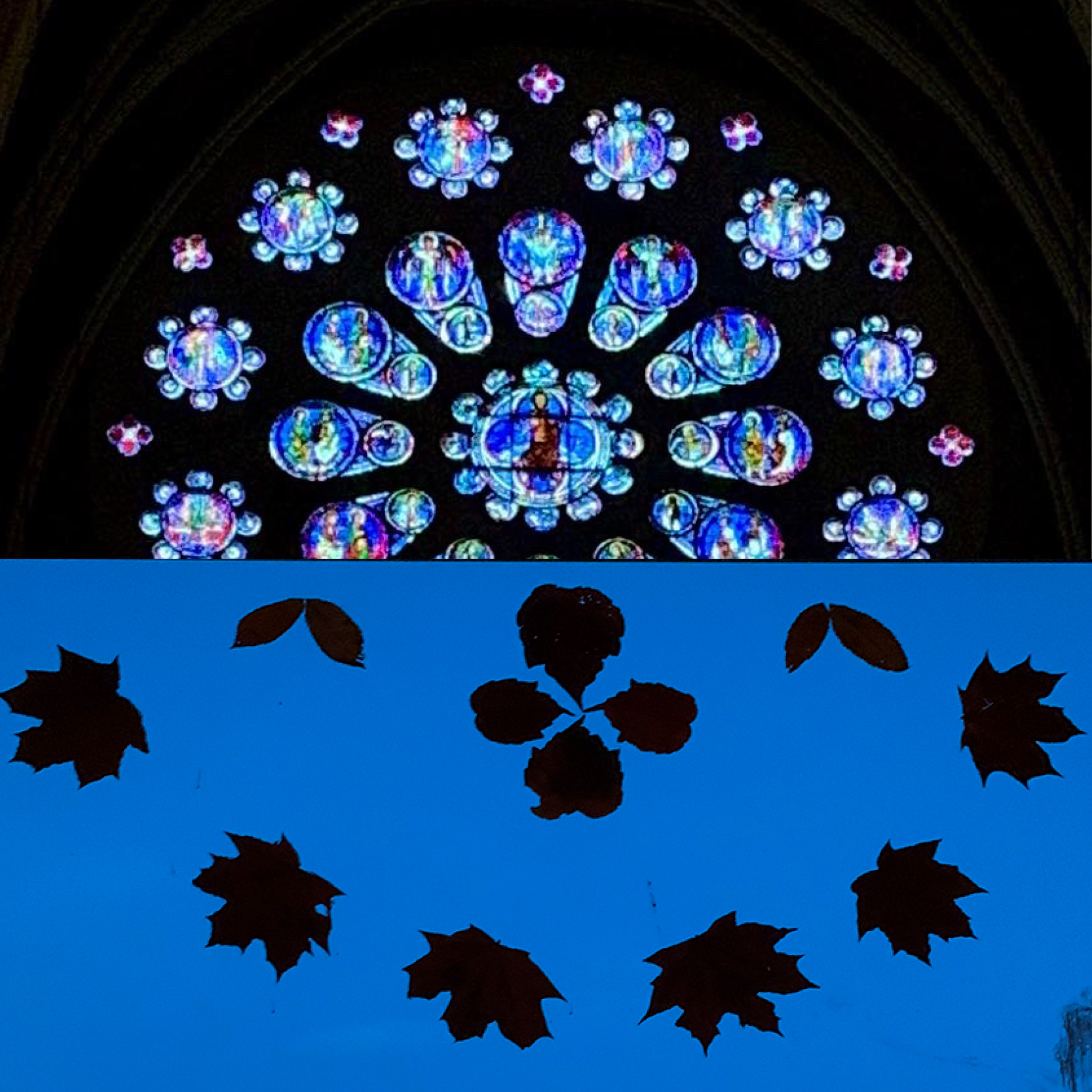 chartres-blue-Libken-Blau