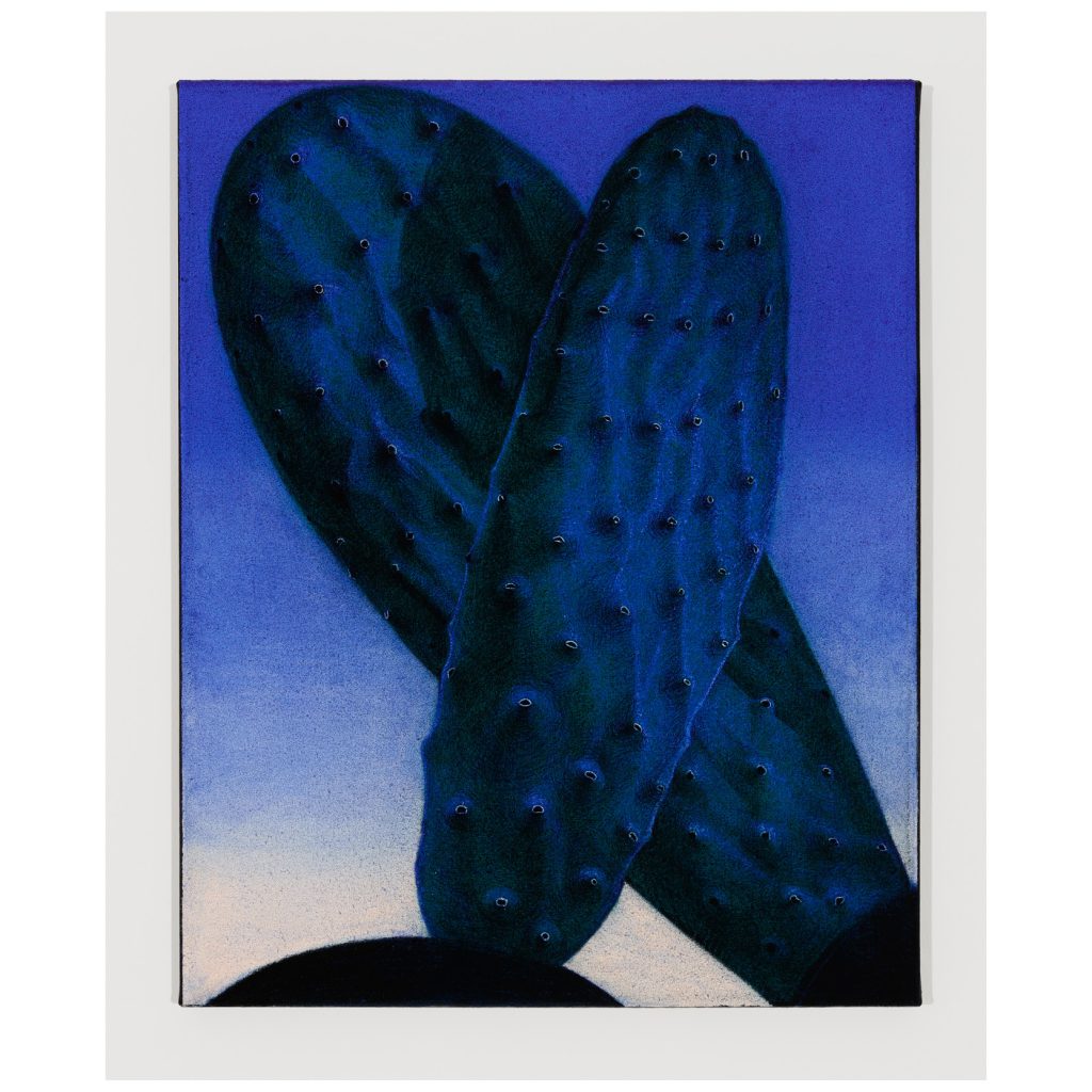 Prickly Pears IV, 2023. by Renée Pevernagie. Pigment, pastel, charcoal on paper mounted on canvas. 40 x 50 cm.